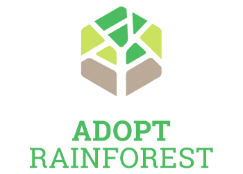 Adopt Rainforest