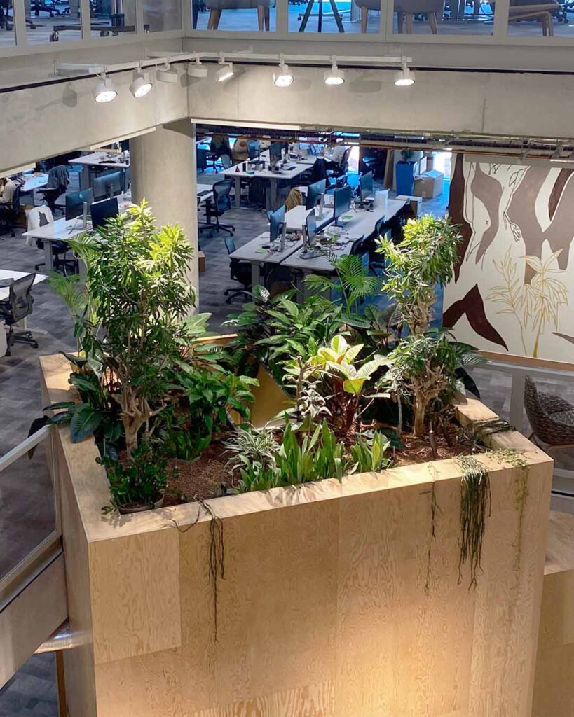 Meta Office London, UK. Interior landscaping service with box planting and hanging plant designs