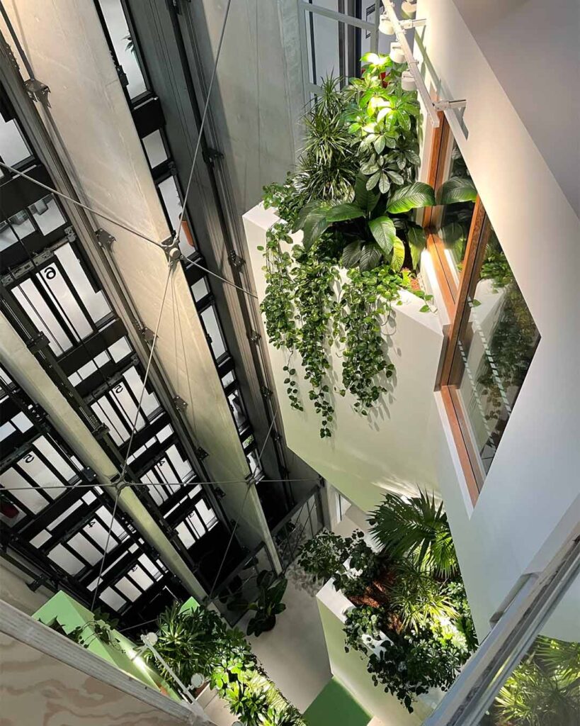 Meta UK London Office Hanging Wall planting
