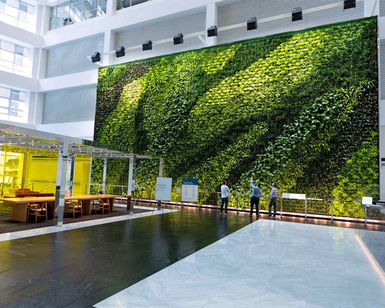Living wall in an atrium building