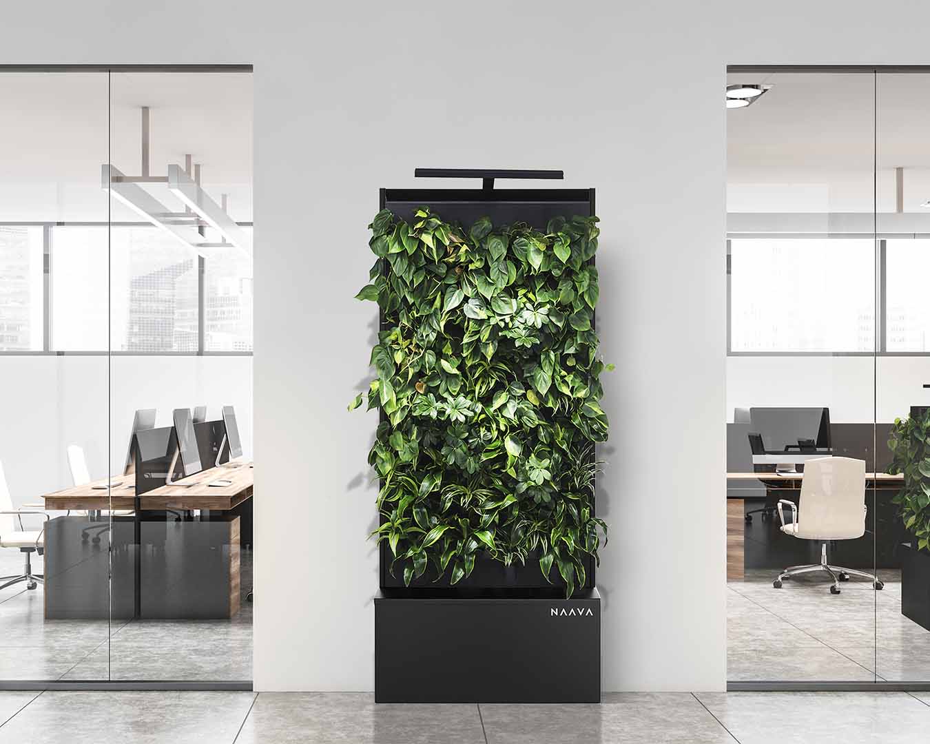 Naava green wall with air purifier